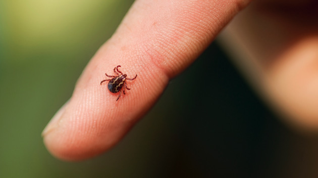 Maine confirms deadly case of rare tick-borne illness