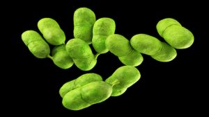 new-listeria-outbreak-linked-to-florida-leaves-one-dead,-23-total-infected