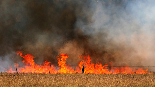 twenty-four-new-wildfires-burn-in-north-texas-as-heat-continues