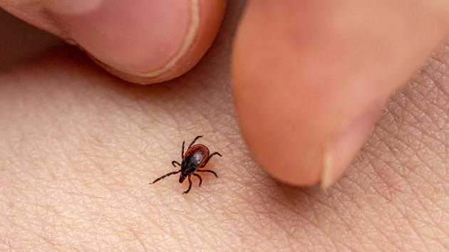vaccine-for-lyme-disease-enters-final-stage-of-clinical-trial